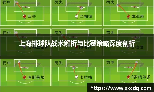 上海排球队战术解析与比赛策略深度剖析