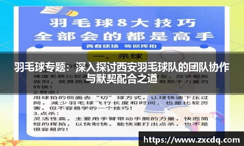 羽毛球专题：深入探讨西安羽毛球队的团队协作与默契配合之道
