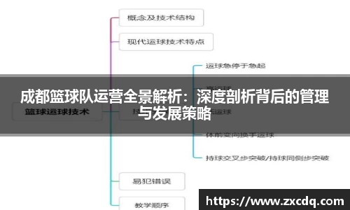 成都篮球队运营全景解析：深度剖析背后的管理与发展策略