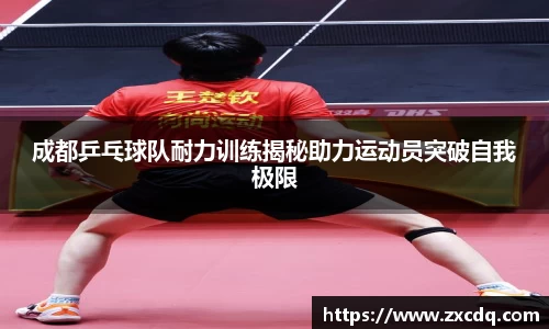成都乒乓球队耐力训练揭秘助力运动员突破自我极限